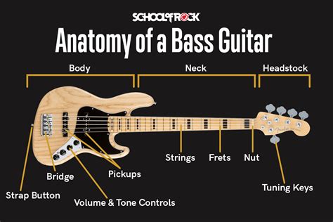 what is a bass in music and why does it make your heart race?